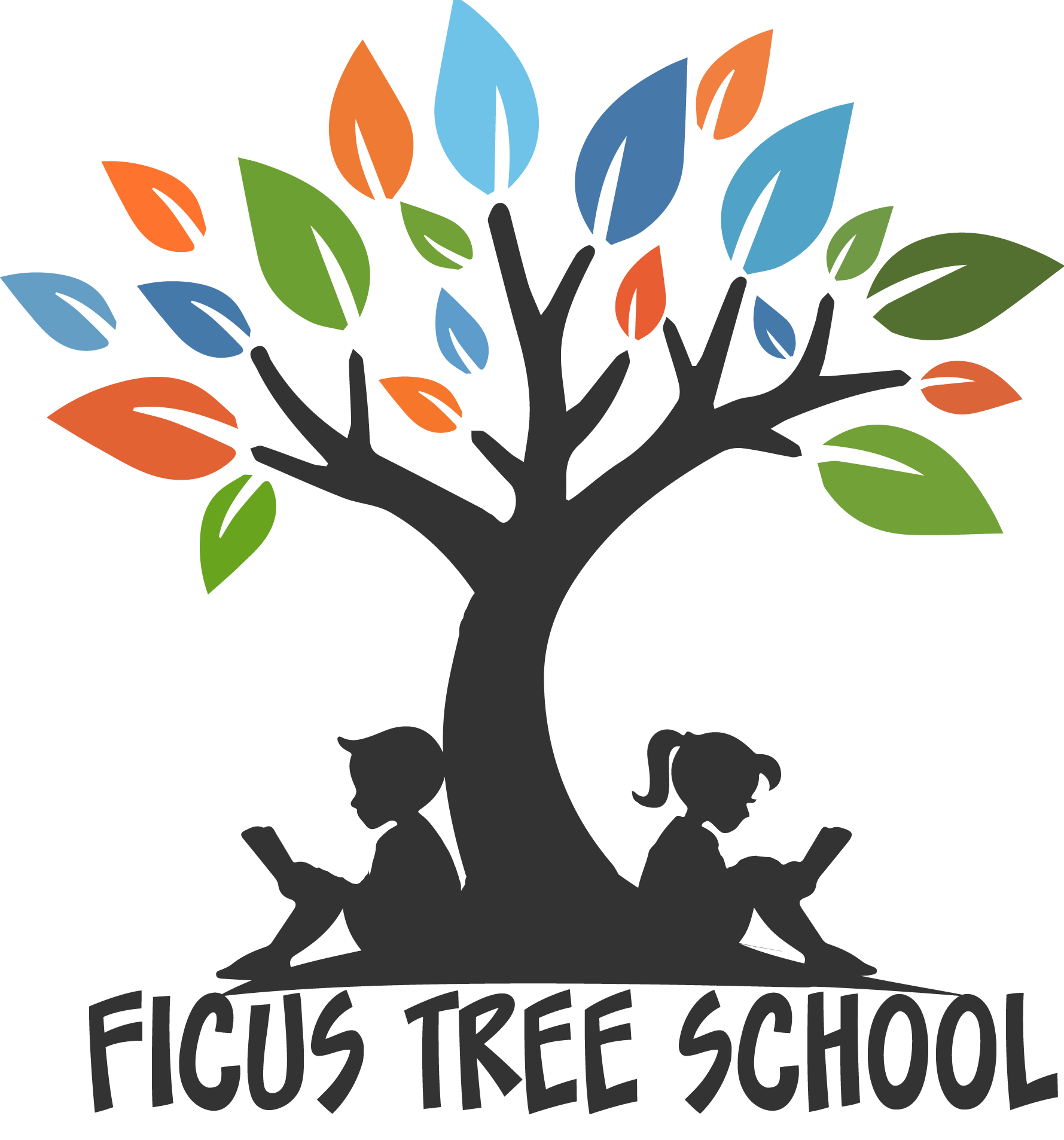 Ficus Tree School Costa Rica